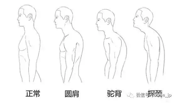 水原希子vs石原里美 刘亦菲vs刘诗诗 比美貌更值得注意的是这个！