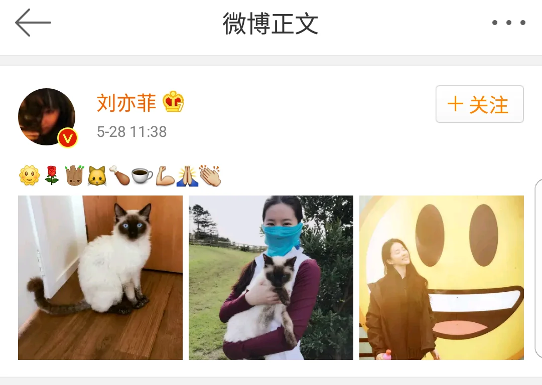 刘亦菲蒙面连发9个表情引网友疯狂猜测